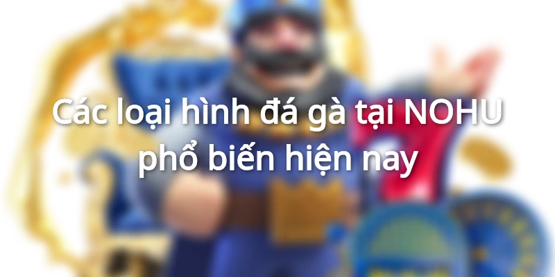 Các loại hình đá gà tại NOHU phổ biến hiện nay