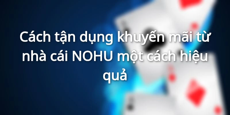 Cách tận dụng khuyến mãi từ nhà cái NOHU một cách hiệu quả