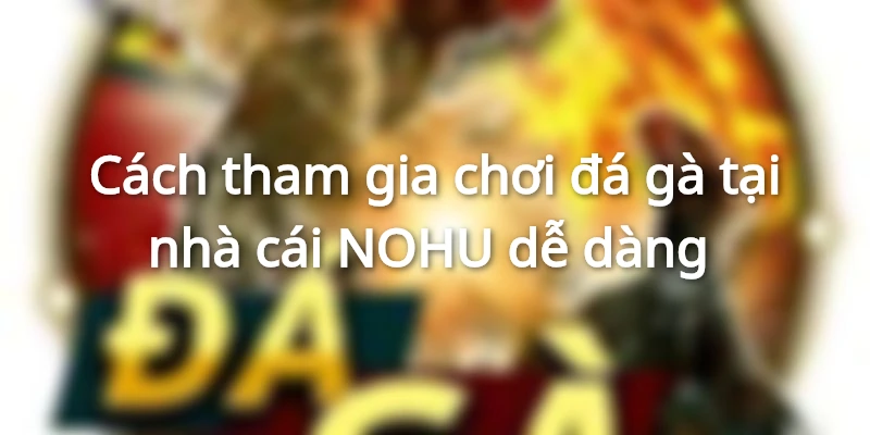 Cách tham gia chơi đá gà tại nhà cái NOHU dễ dàng