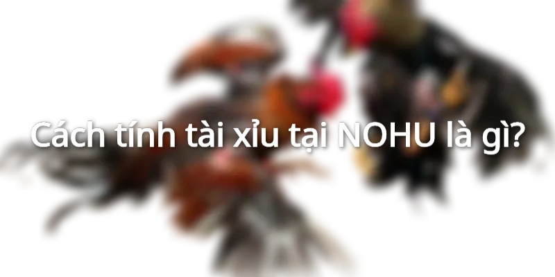 Cách tính tài xỉu tại NOHU là gì?