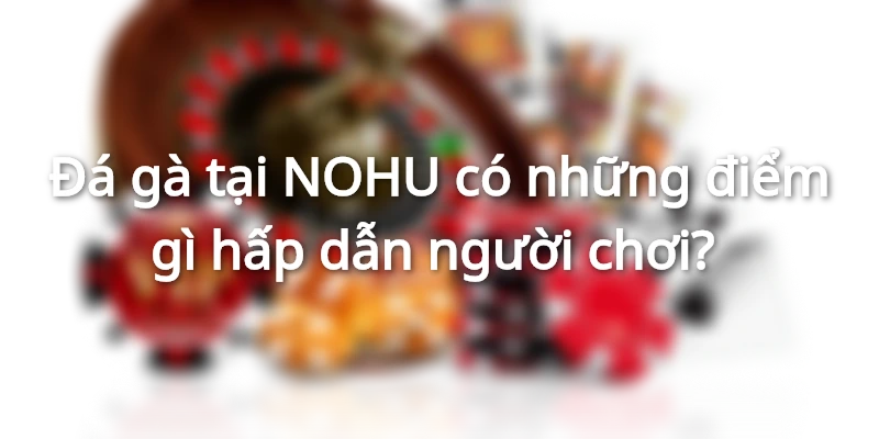 Đá gà tại NOHU có những điểm gì hấp dẫn người chơi?