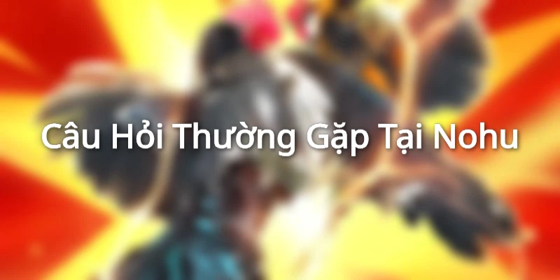 Chuyên mục giải đáp các thắc mắc tại nhà cái NOHU