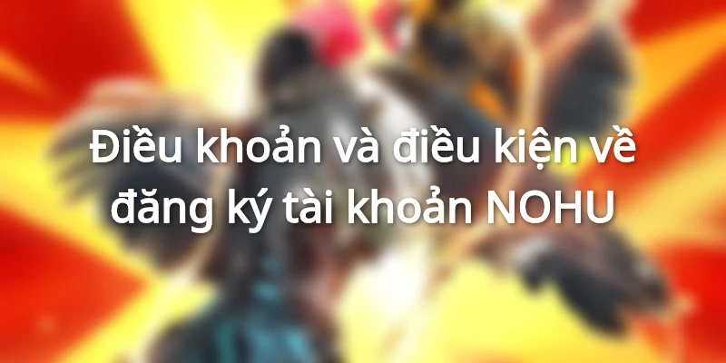 Khám phá điều khoản và điều kiện mới nhất 2024