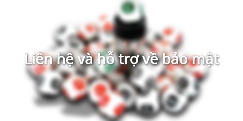 Liên hệ hỏi đáp về chính sách bảo mật 24/7