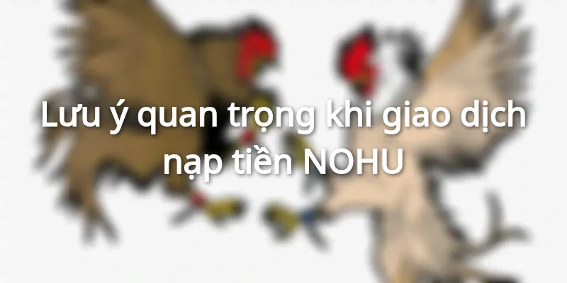 Lưu ý quan trọng khi nạp tiền NOHU