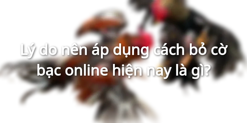 Lý do nên học cách bỏ cờ bạc online