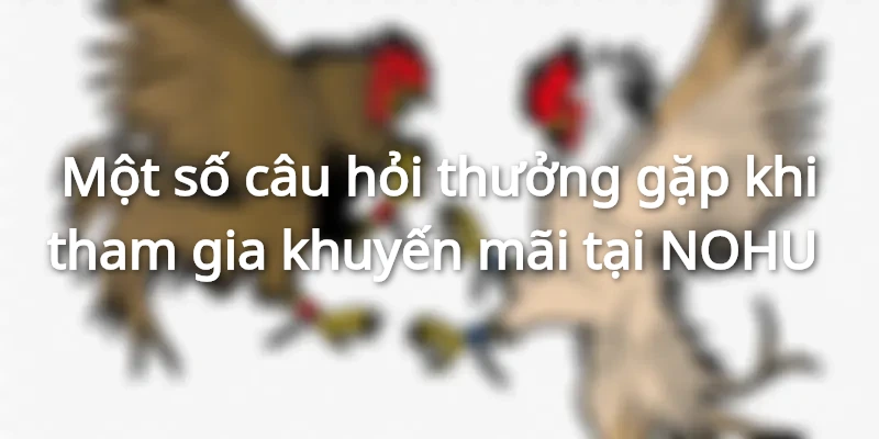 Một số câu hỏi thưởng gặp khi tham gia khuyến mãi tại NOHU