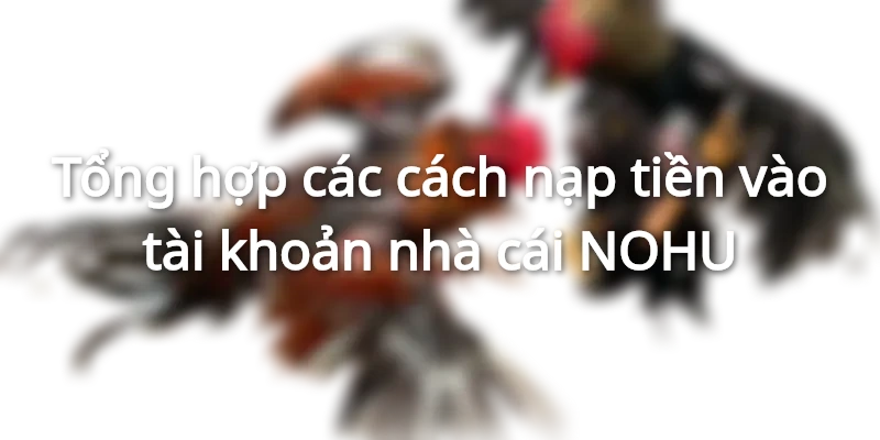 Những cách nạp tiền cá cược tại NOHU