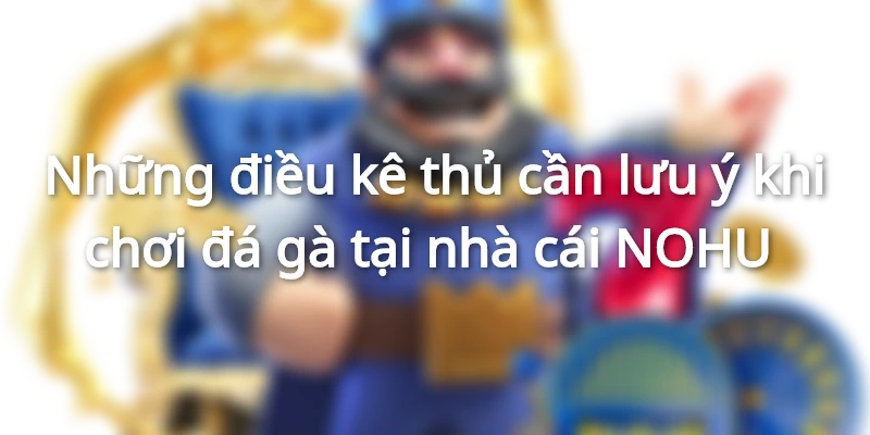Những điều kê thủ cần lưu ý khi chơi đá gà tại nhà cái NOHU
