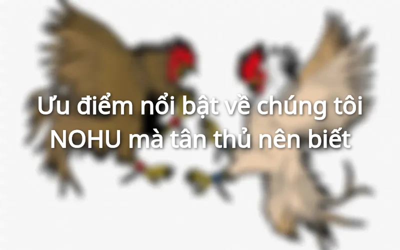 Những ưu điểm tại NOHU mà anh em nên biết