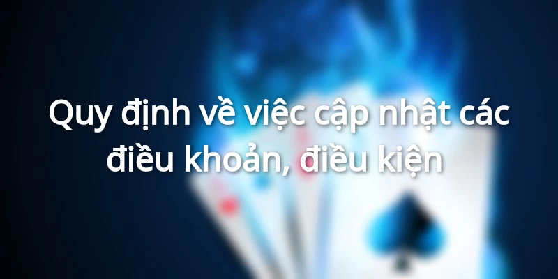 Quy định về việc cập nhật điều khoản thường xuyên