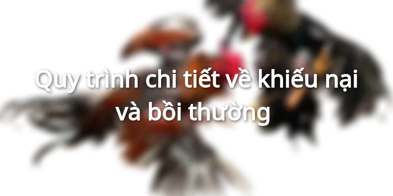 Quy trình khiếu nại và bồi thường uy tín