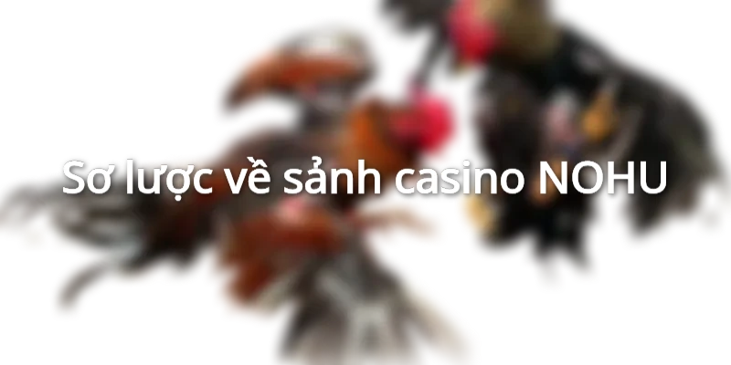 Sơ lược về sảnh casino NOHU
