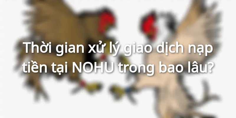 Thời gian xử lý giao dịch nạp tiền tại NOHU