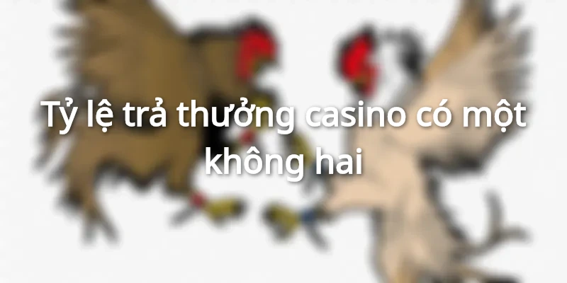 Tỷ lệ trả thưởng casino có một không hai