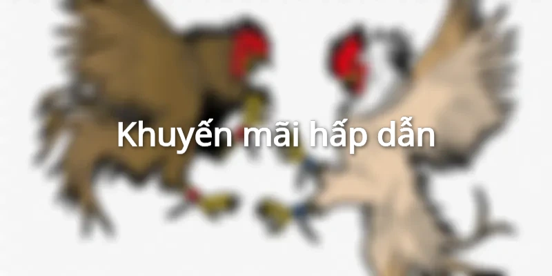Ngập tràn ưu đãi khi đăng ký NOHU